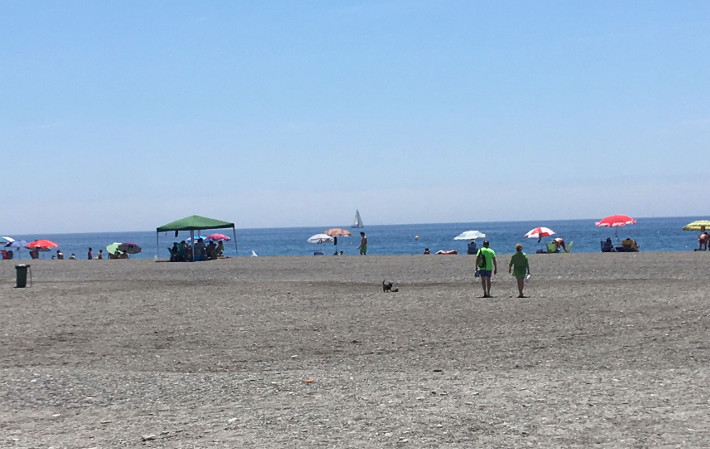 La playa para perros de Motril se convierte en uno de los recursos turísticos con más aceptación